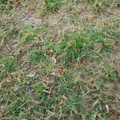     ,     